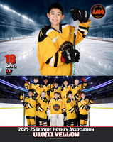 U11Yellow_Michu_LI_