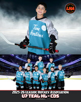 U7TealHL-CDS