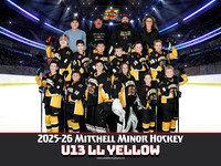 U13LLYellow