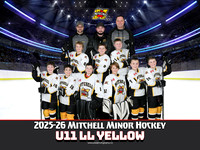 U11LLYellow