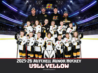 U9LLYellow