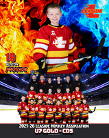 U7Gold-CDS