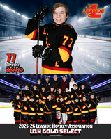 U14GoldSelect_Connor_ID=010926-BOYBQQMWZ.jpg