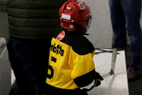 U7BostonYellow_INDIVIDUAL PACKAGE_#5