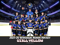 U13LLYellow