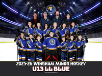 U13LLBlue