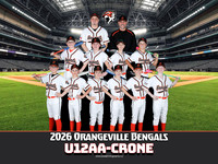 U12AA-Crone