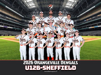 U12B-Sheffield