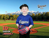 T-Ball-Team1_Easton_JESSO-7297