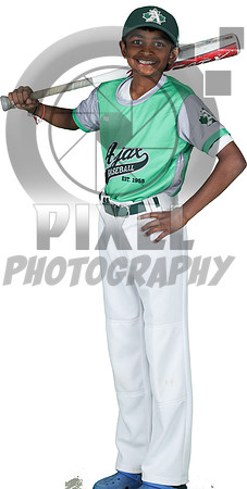 Mosquito-Team10PickeringPlayingFields_Caleb_Thanabalasingam_9692