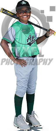Mosquito-Team10PickeringPlayingFields_Elijah_Tardieu_2863