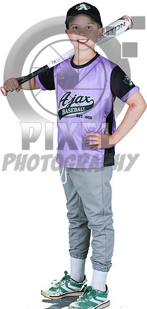 Mosquito-Team1PurpleAndresTowingandStorage_Brendan_Feroze_3292