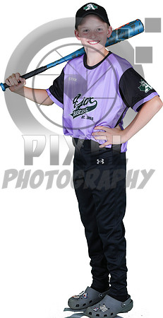 Mosquito-Team1PurpleAndresTowingandStorage_Colton_Fletcher_3320