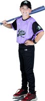 Mosquito-Team1PurpleAndresTowingandStorage_Thomas_Swain_3197