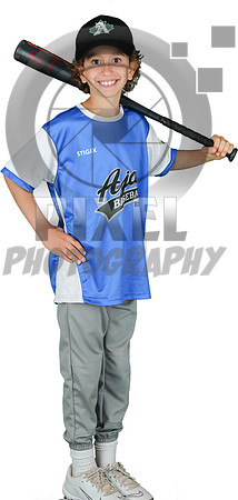 Mosquito-Team2BlueBostonPizza_Alexander_Wisch_7152