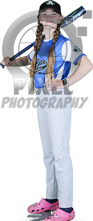Mosquito-Team2BlueBostonPizza_Bailey_Drodge_3338