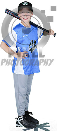 Mosquito-Team2BlueBostonPizza_Emmanuel_Milonakis_3141