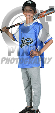 Mosquito-Team2BlueBostonPizza_Elliott_Seepersad_7411