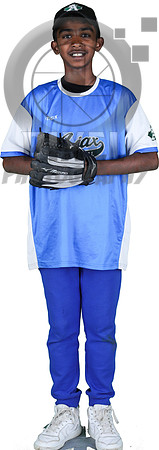 Mosquito-Team2BlueBostonPizza_Shreyan_Rai_3399