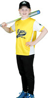 Mosquito-Team3YellowGiantTiger_Jasper_Bridgett_7172