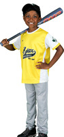 Mosquito-Team3YellowGiantTiger_Jaysen_Soudar_7110