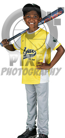 Mosquito-Team3YellowGiantTiger_Jaysen_Soudar_7110