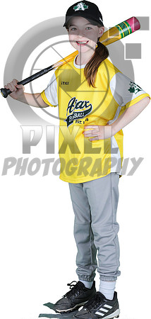 Mosquito-Team3YellowGiantTiger_Leah_Lowe_3342
