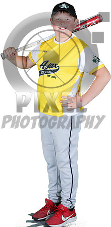 Mosquito-Team3YellowGiantTiger_Mason_Champion_3449