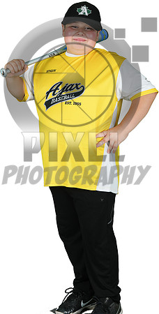Mosquito-Team3YellowGiantTiger_Ryker_Woods_7227