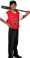 Mosquito-Team6RedCanadaCone_Jayen_Krishnamoorthy_7305