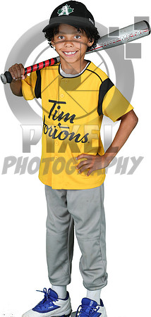 Rookie-Team5-Gold_Corvan_Small_9167