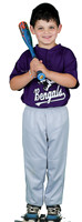 5UPurple_Benny_Baboolal_4290