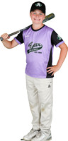 Mosquito-Team1PurpleAndresTowingandStorage_Cameron_Giza_8419