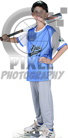 Mosquito-Team2BlueBostonPizza_Elliott_Seepersad_0930