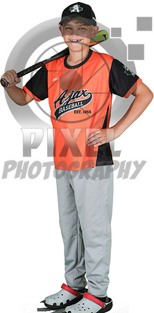 Mosquito-Team4_Myles_Atkins_7482