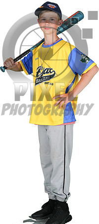PeweeTeam5Yellow_Henry_Collins_8397