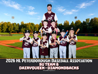 5UTeam6-DairyQueen-Diamondbacks