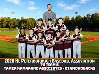 7UTeam6-TamerKamarandAssociates-Diamondbacks