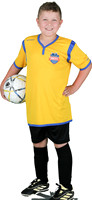 U10-5-Gold_Odin_Button_8517