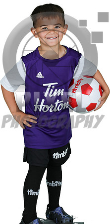 U4-1-Purple_Massimo_Cachia_6492