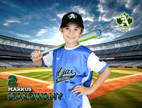 PLAYER_2_Mosquito-Team2BlueBostonPizza_Markus_MALOWANY_ID=072526-MALQDZJTD