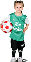 U5TeamGreen_Carlin_Chassie_1910