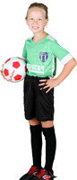 U9G-AccipterGreen_Amelia_Sikkens_1086