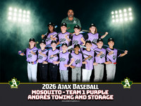 Mosquito-Team1PurpleAndresTowingandStorage