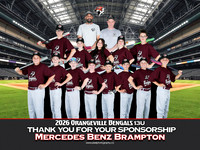 13UMercedesBenzBrampton