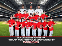11UMobilflex