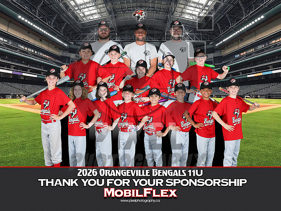 11UMobilflex