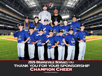 13UChampionCheer