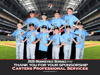 11UCartersProfessionalCorporation