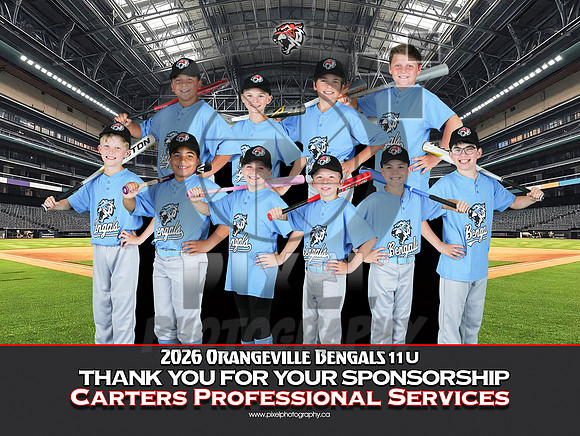 11UCartersProfessionalCorporation
